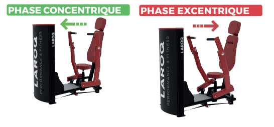 L’excentrique en musculation : Conex