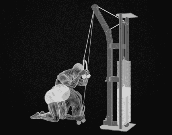 Poulie musculation Poulie musculation