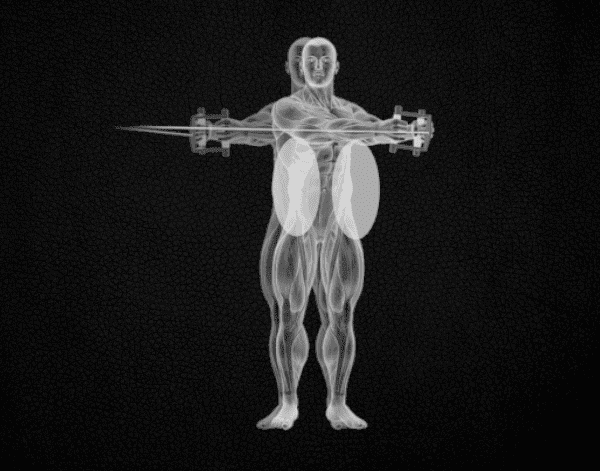 Poulie musculation Poulie musculation