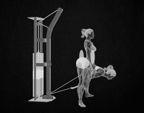 Poulie musculation Poulie musculation